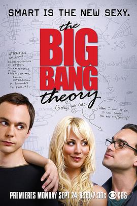 生活大爆炸 第一季 The Big Bang Theory Season 1海报