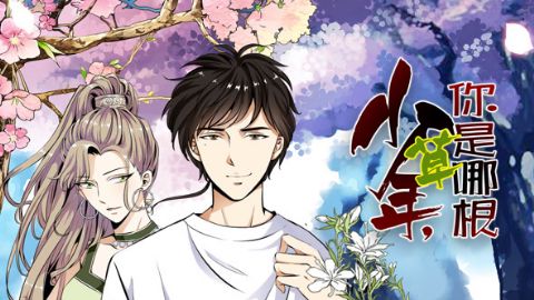 少年，你是哪根草海报