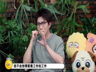 毛雪汪海报