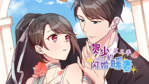 贺少的闪婚暖妻第三季海报