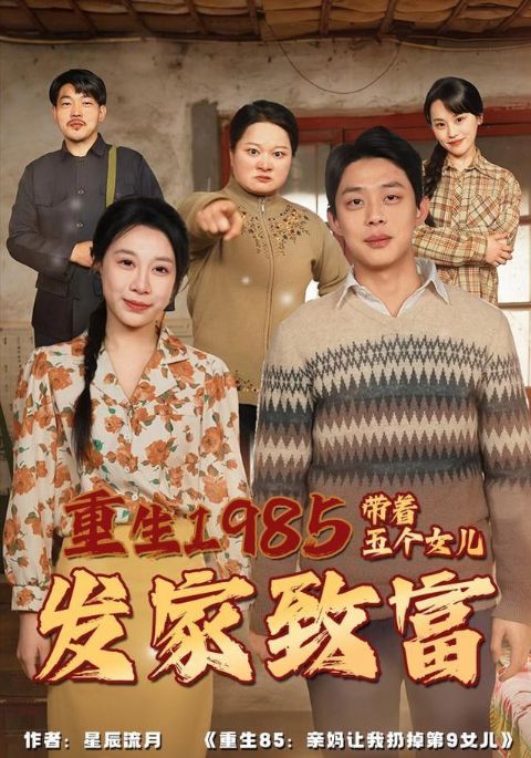 重生1985：带着五个女儿发家致富海报
