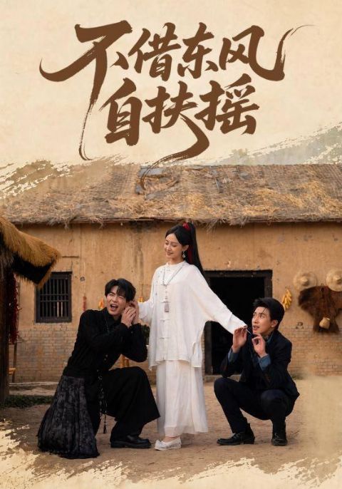 不借东风自扶摇海报