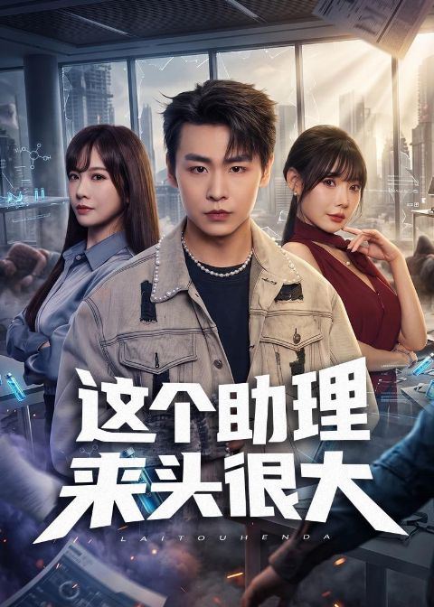 这个助理来头很大海报