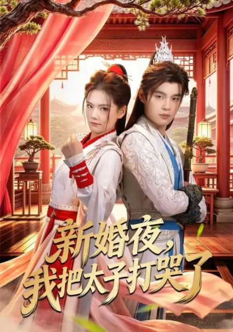 新婚夜，我把太子打哭了海报