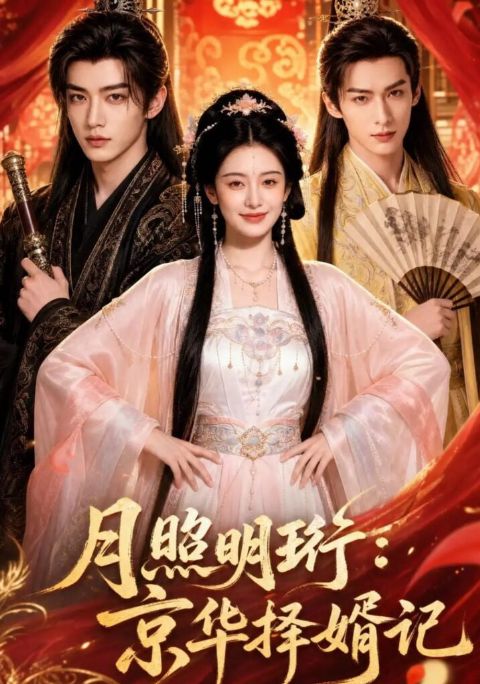 月照明珩：京华择婿记海报
