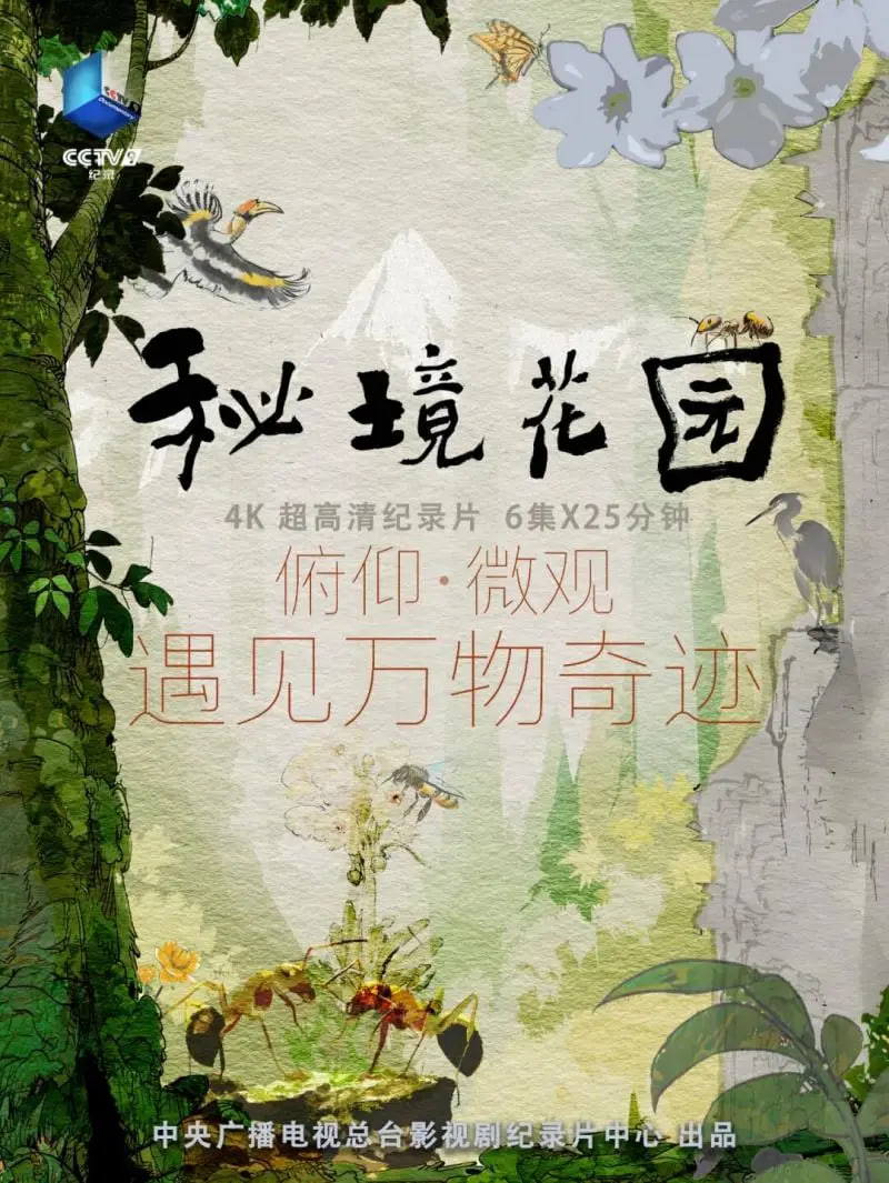 秘境花园海报