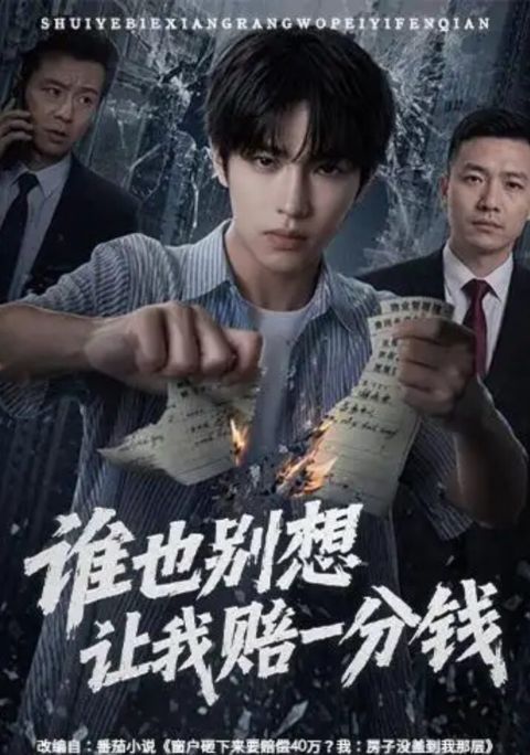 谁也别想让我赔一分钱海报