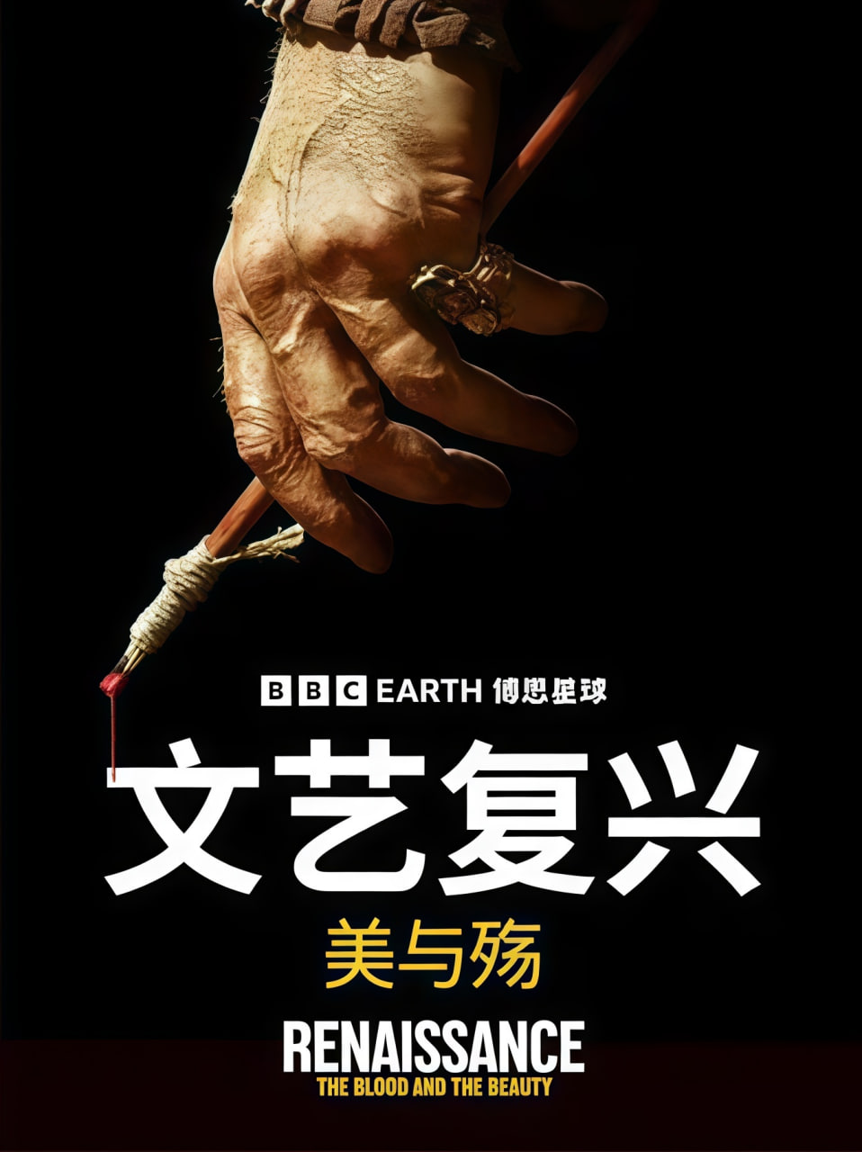 文艺复兴：美与殇海报