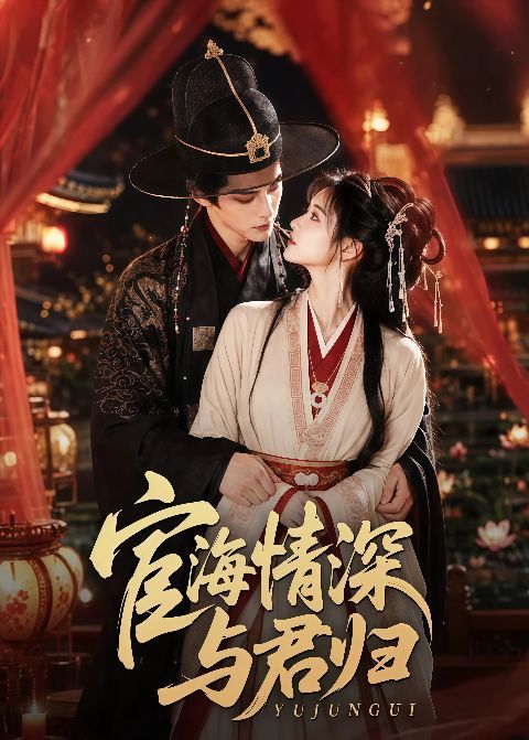宦海情深与君归海报