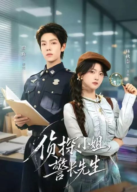 侦探小姐，警长先生海报