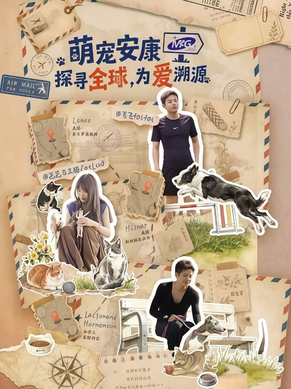 探寻全球，为爱溯源海报