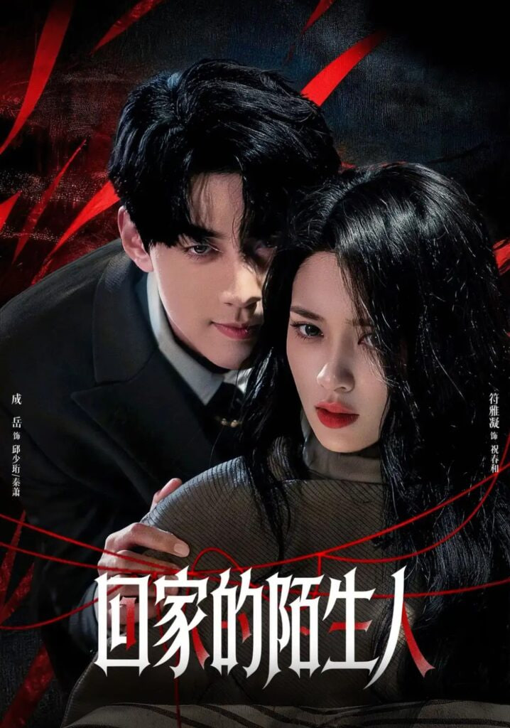 回家的陌生人海报