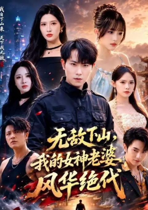 无敌下山，我的女神老婆风华绝代海报
