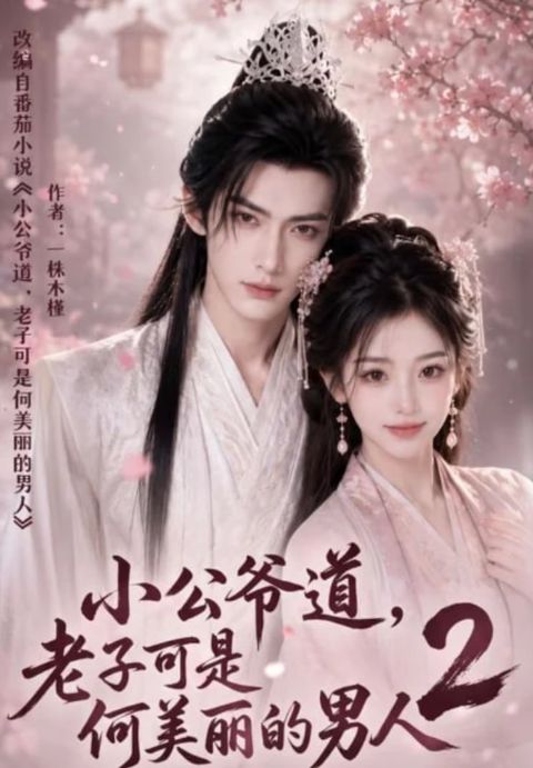 小公爷道，老子可是何美丽的男人 2海报