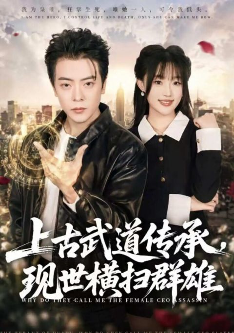 上古武道传承，现世横扫群雄海报