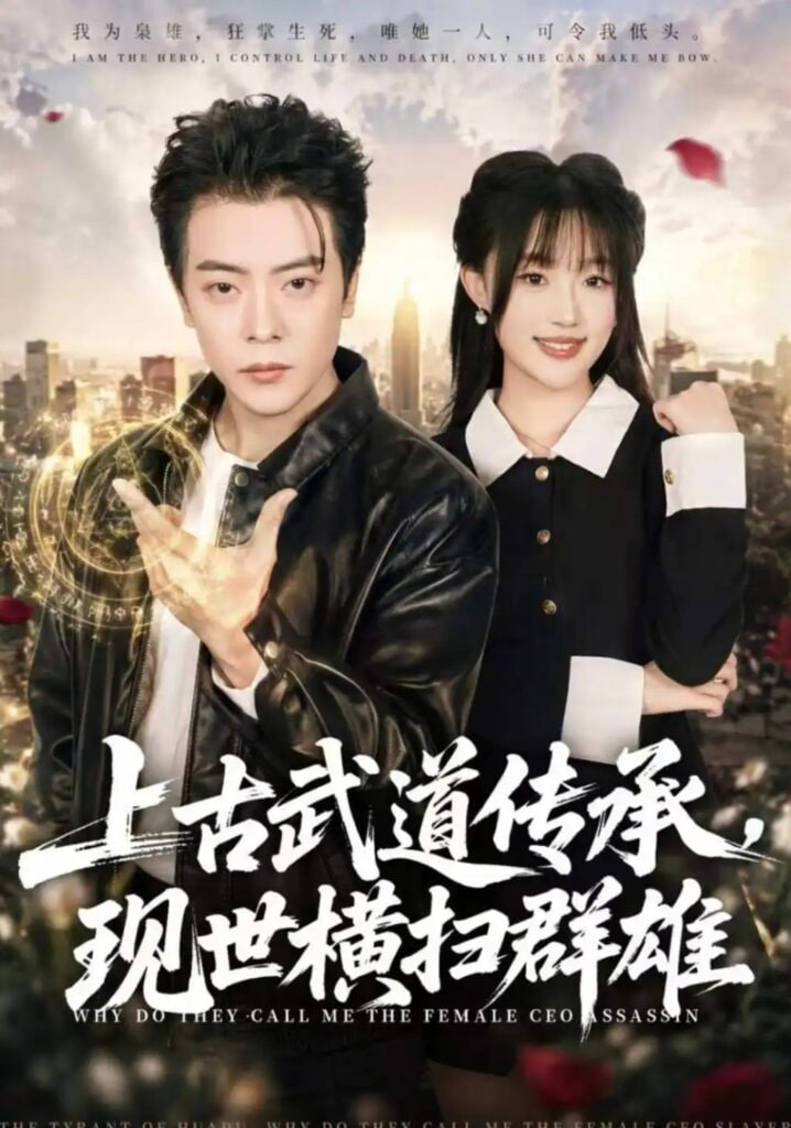 上古武道传承，现世横扫群雄海报