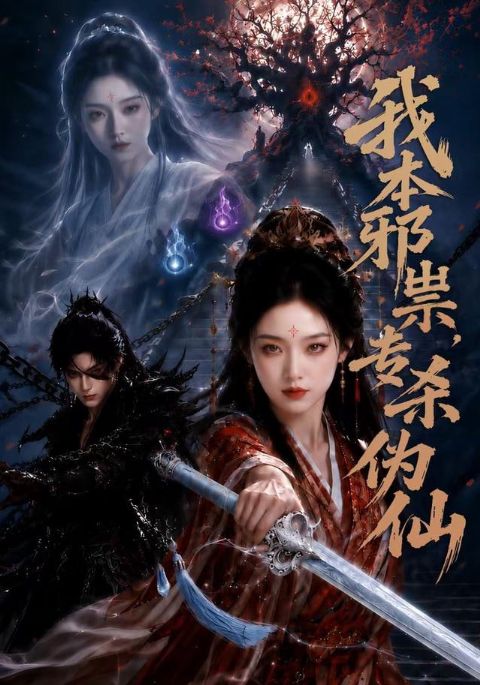 我本邪宗，专杀伪仙海报
