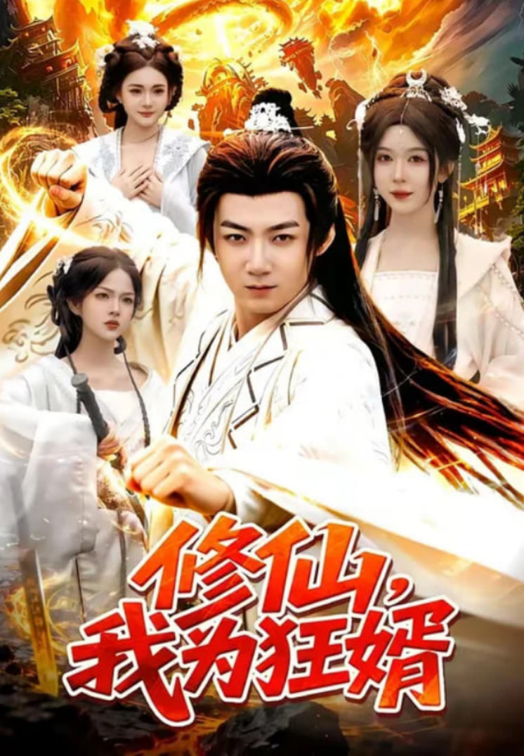 修仙，我为狂婿海报
