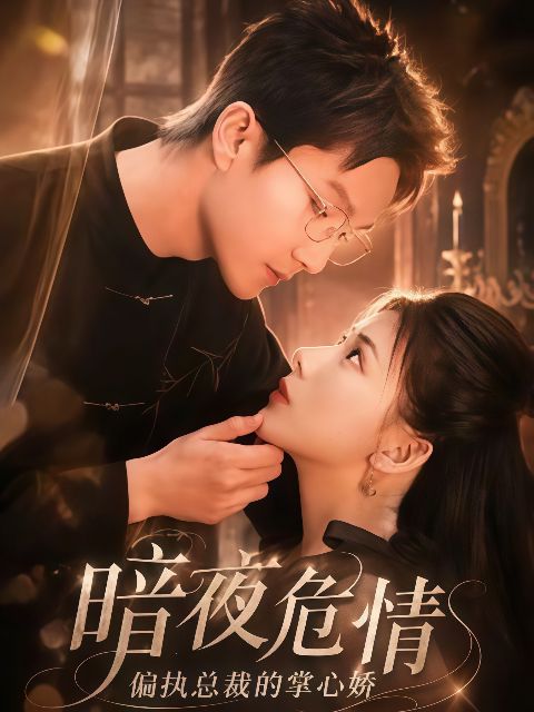 暗夜危情，偏执总裁的掌心娇海报