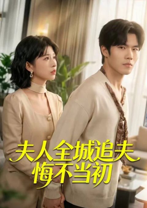 夫人全城追夫悔不当初海报