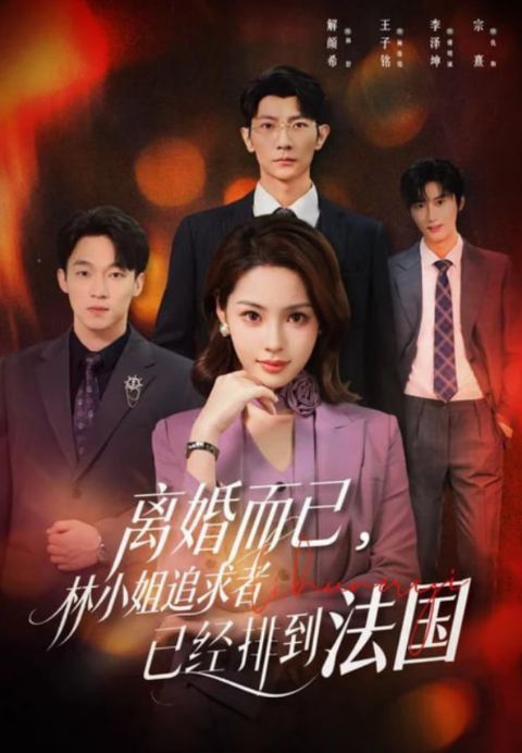 离婚而已，林小姐追求者已经排到法国海报
