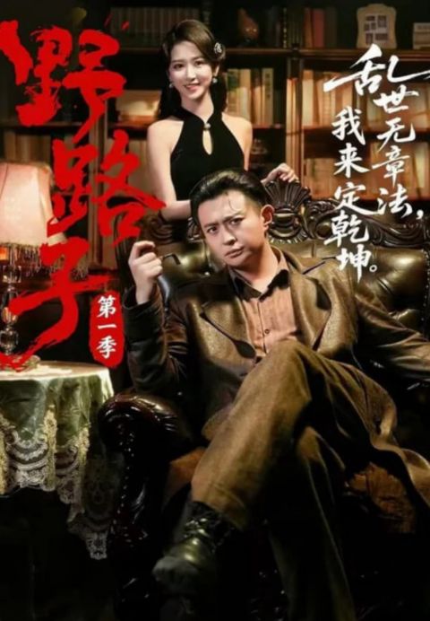 野路子第一季海报