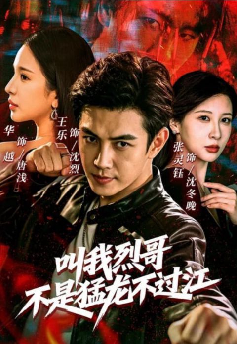 叫我烈哥，不是猛龙不过江海报