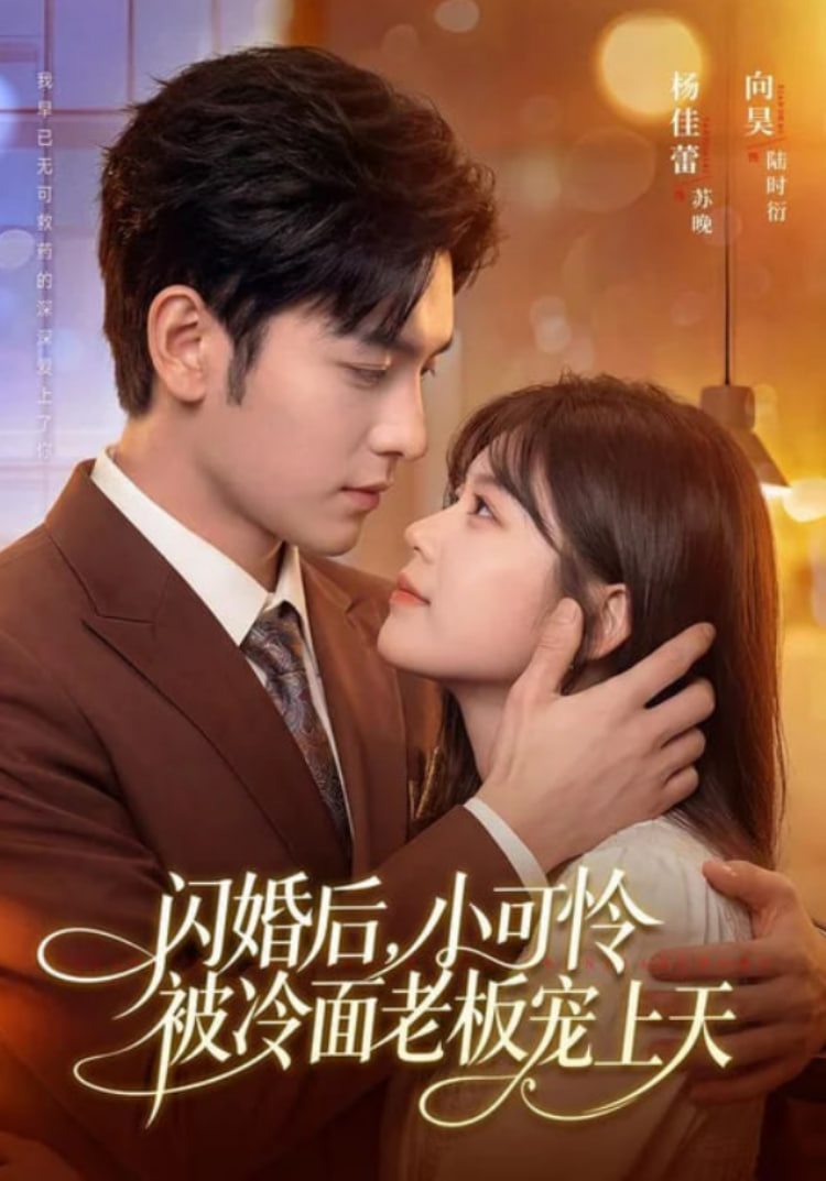 闪婚后，小可怜被冷面老板宠上天海报