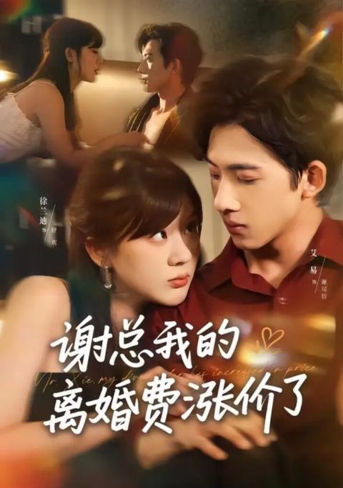 谢总我的离婚费涨价了海报