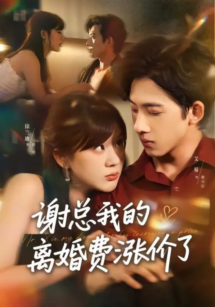 谢总我的离婚费涨价了海报