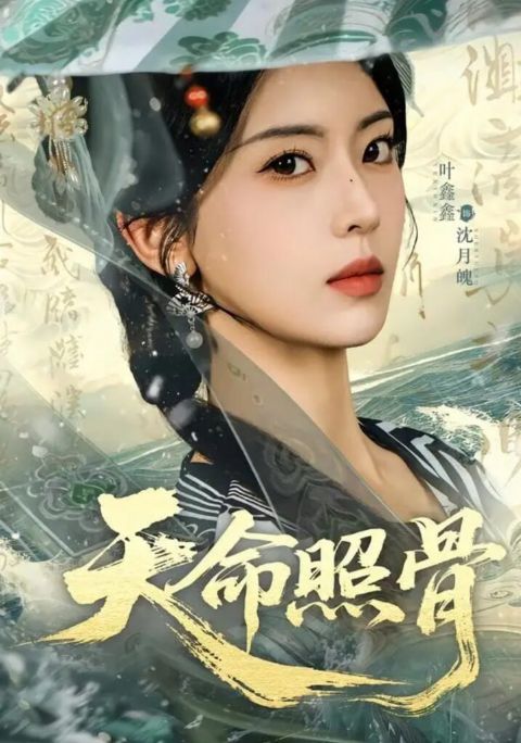 天命照骨海报