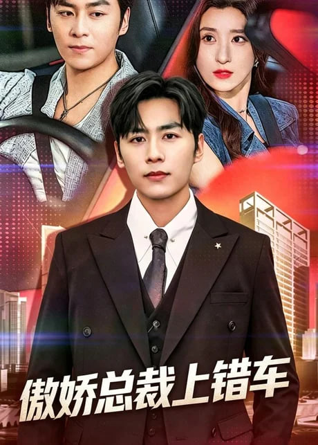 傲娇总裁上错车海报