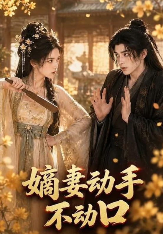 嫡妻动手不动口海报