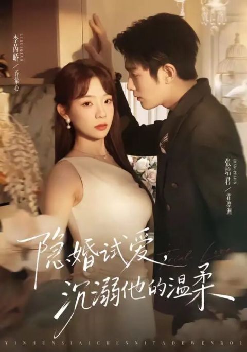 隐婚试爱，沉溺他的温柔海报