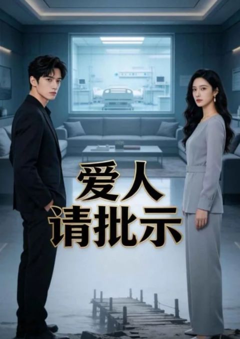 爱人请批示海报