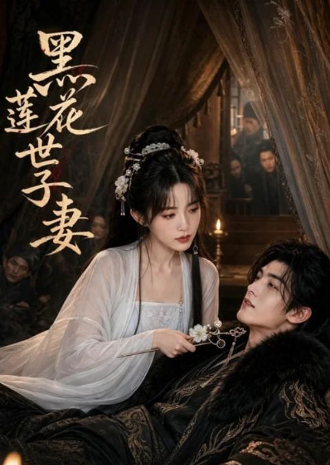 黑莲花世子妻海报
