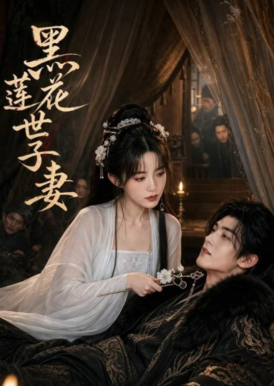 黑莲花世子妻海报