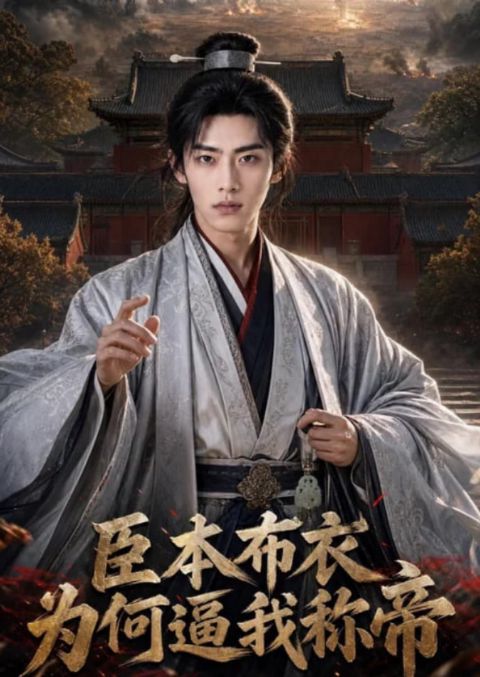 臣本布衣，为何逼我称帝（AI）海报
