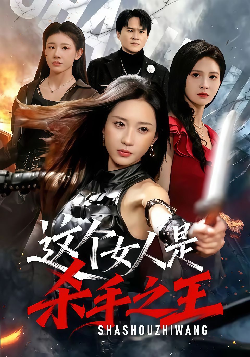 这个女人是杀手之王海报