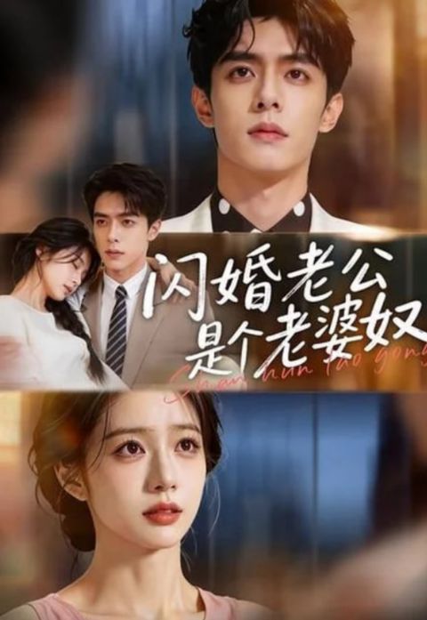 闪婚老公是个老婆奴海报
