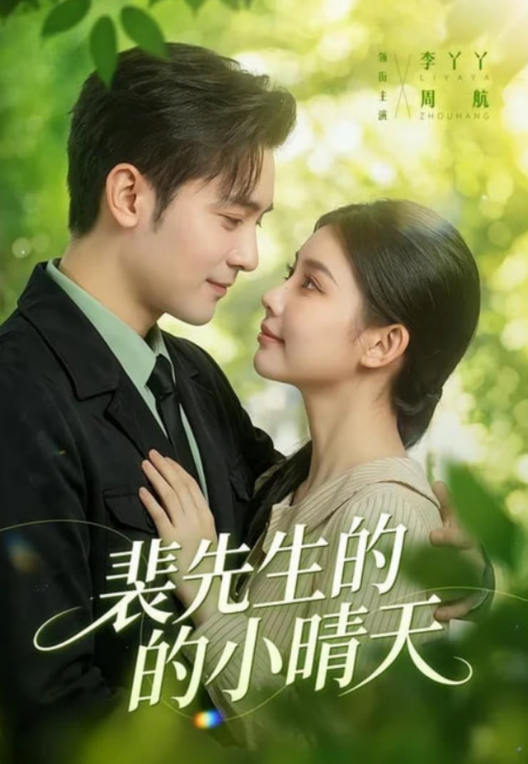 裴先生的小晴天海报
