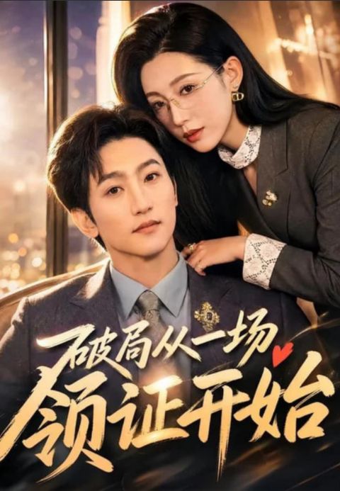 破局从一场领证开始海报