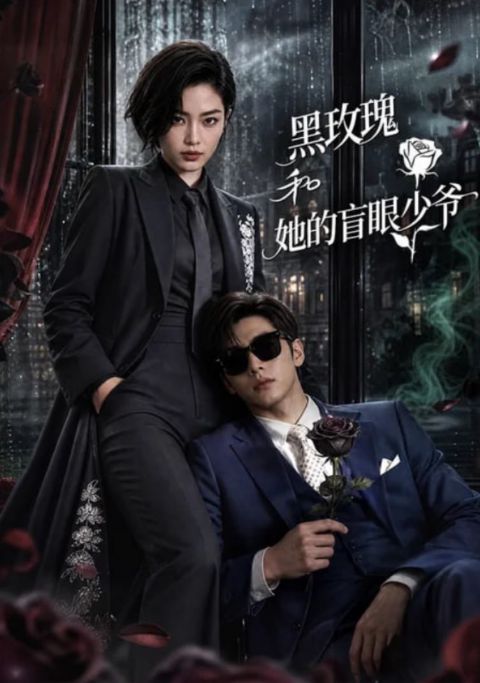 黑玫瑰和她的盲眼少爷海报