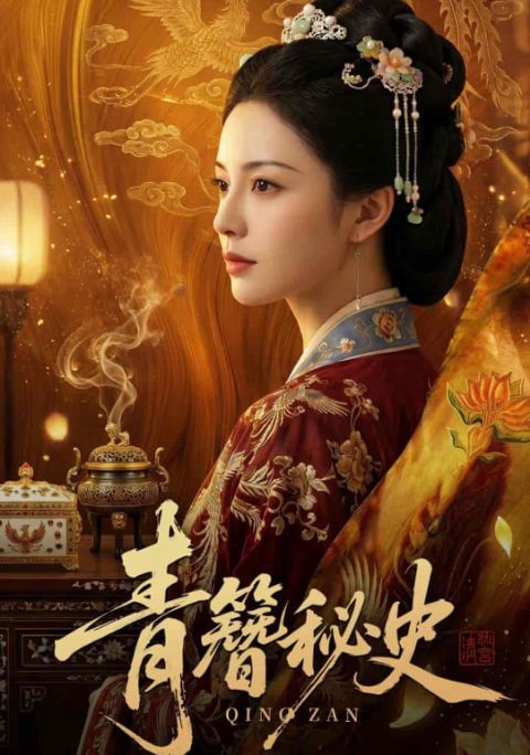 青簪秘史海报