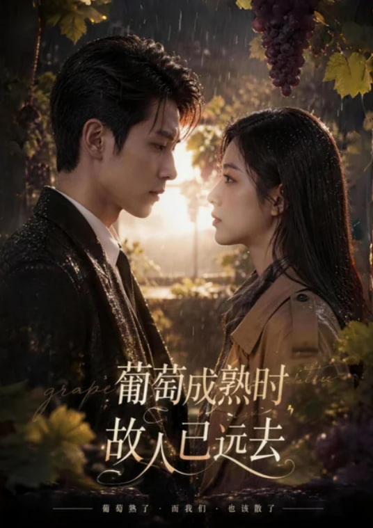 葡萄成熟时，故人已远去海报