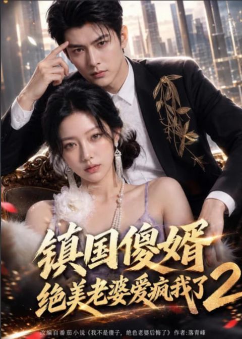 镇国傻婿：绝美老婆爱疯我了 2海报