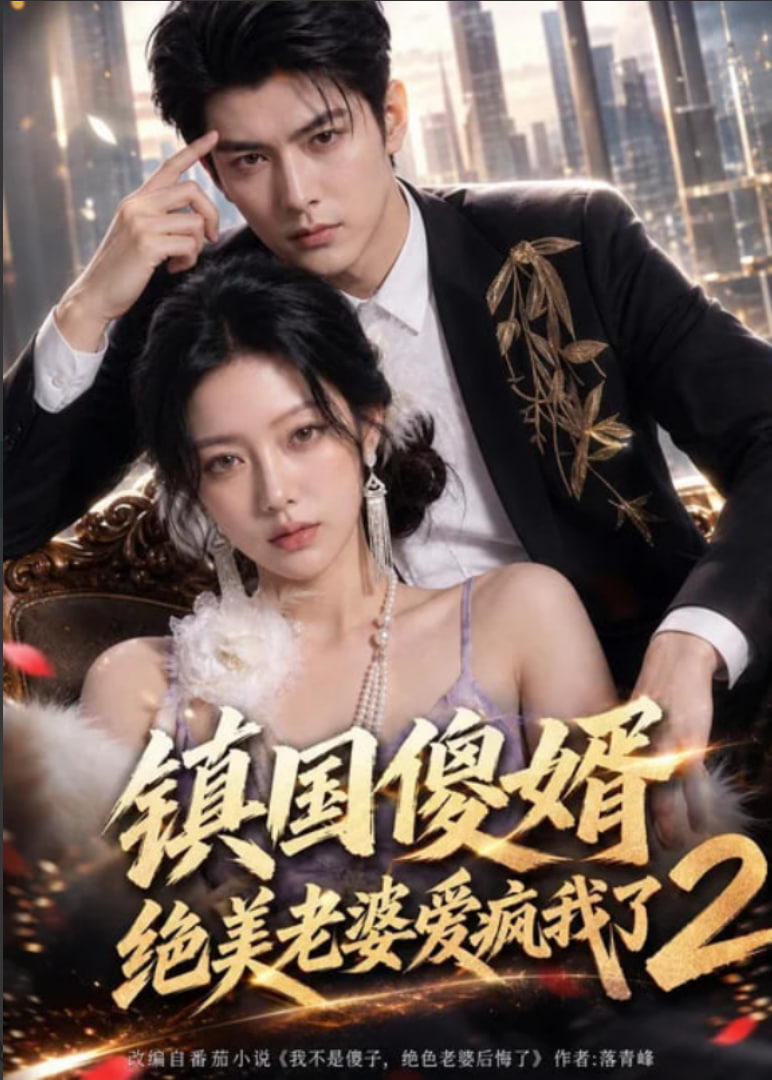 镇国傻婿：绝美老婆爱疯我了 2海报