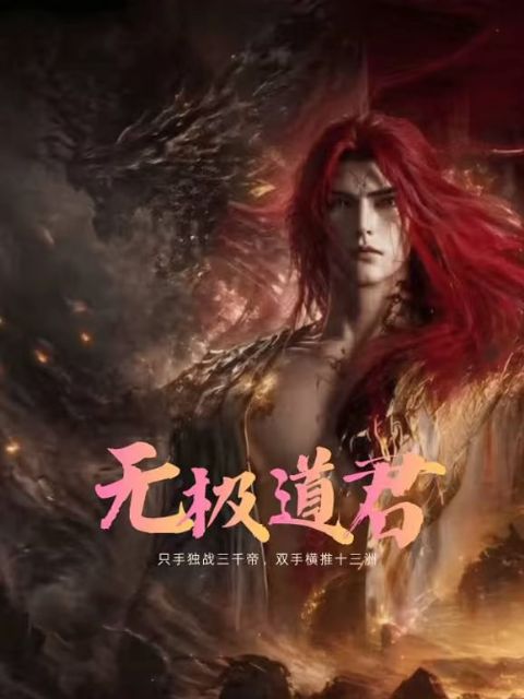 无极道君海报