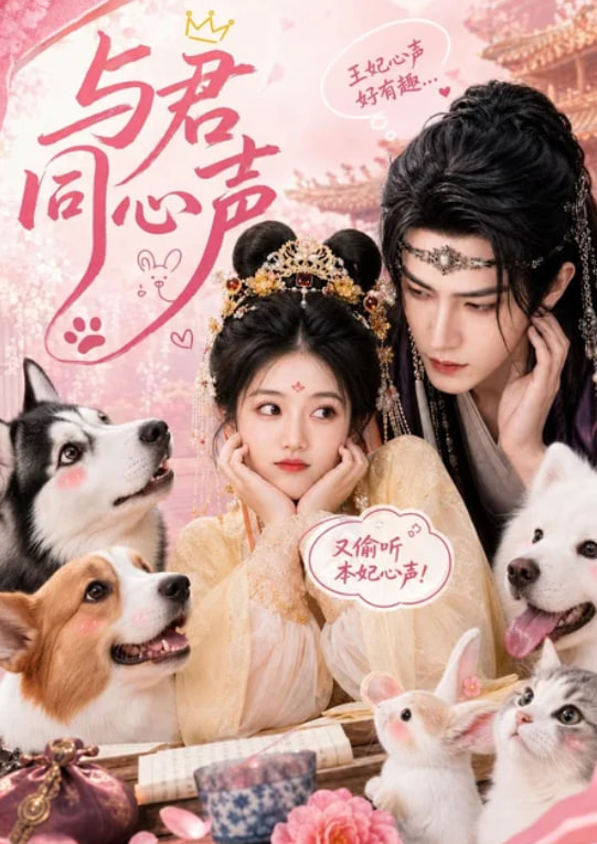 与君同心声海报