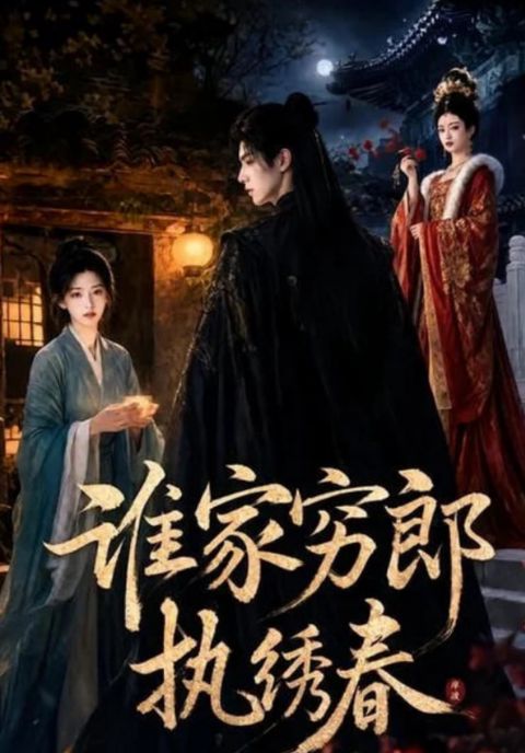 谁家穷郎执绣春海报